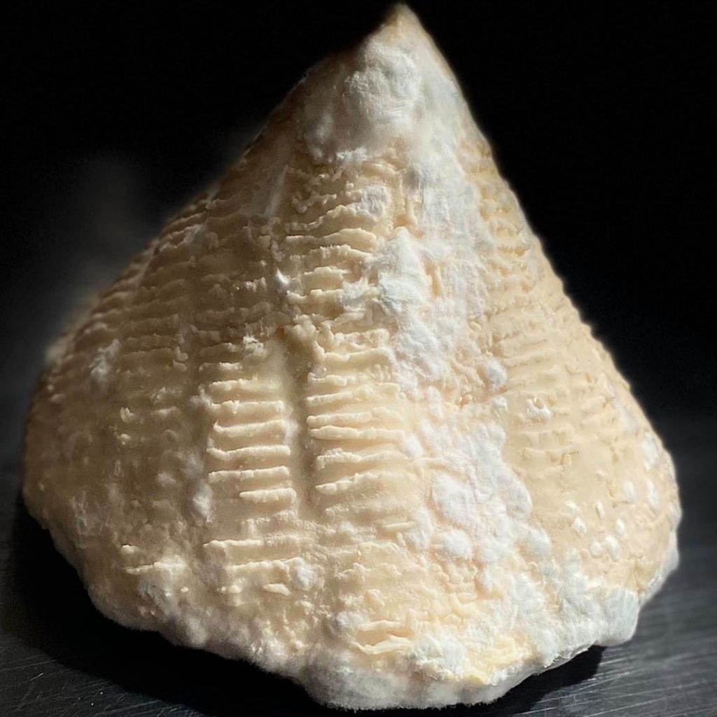 Cosne du Port Aubry chèvre Fermier