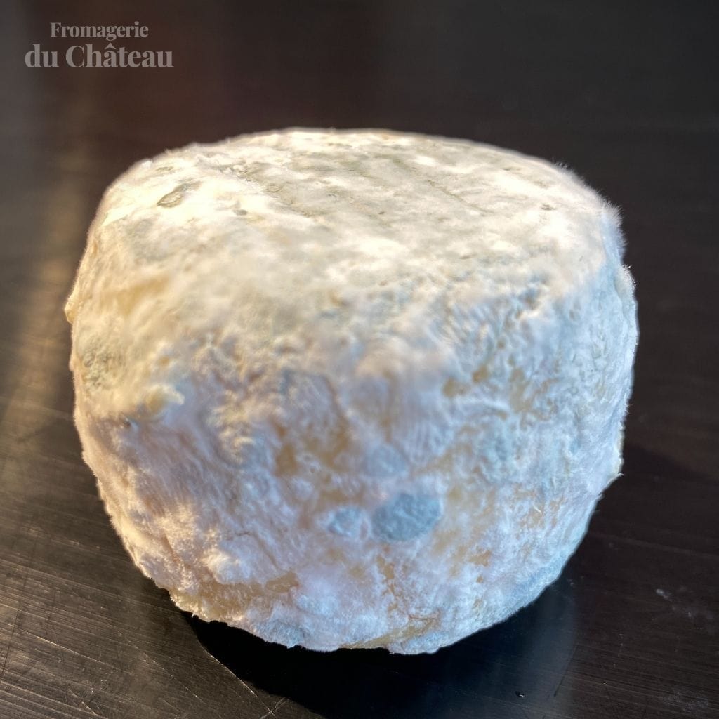 Crottin de Chavignol Fermier (AOP) - Fromagerie du Château