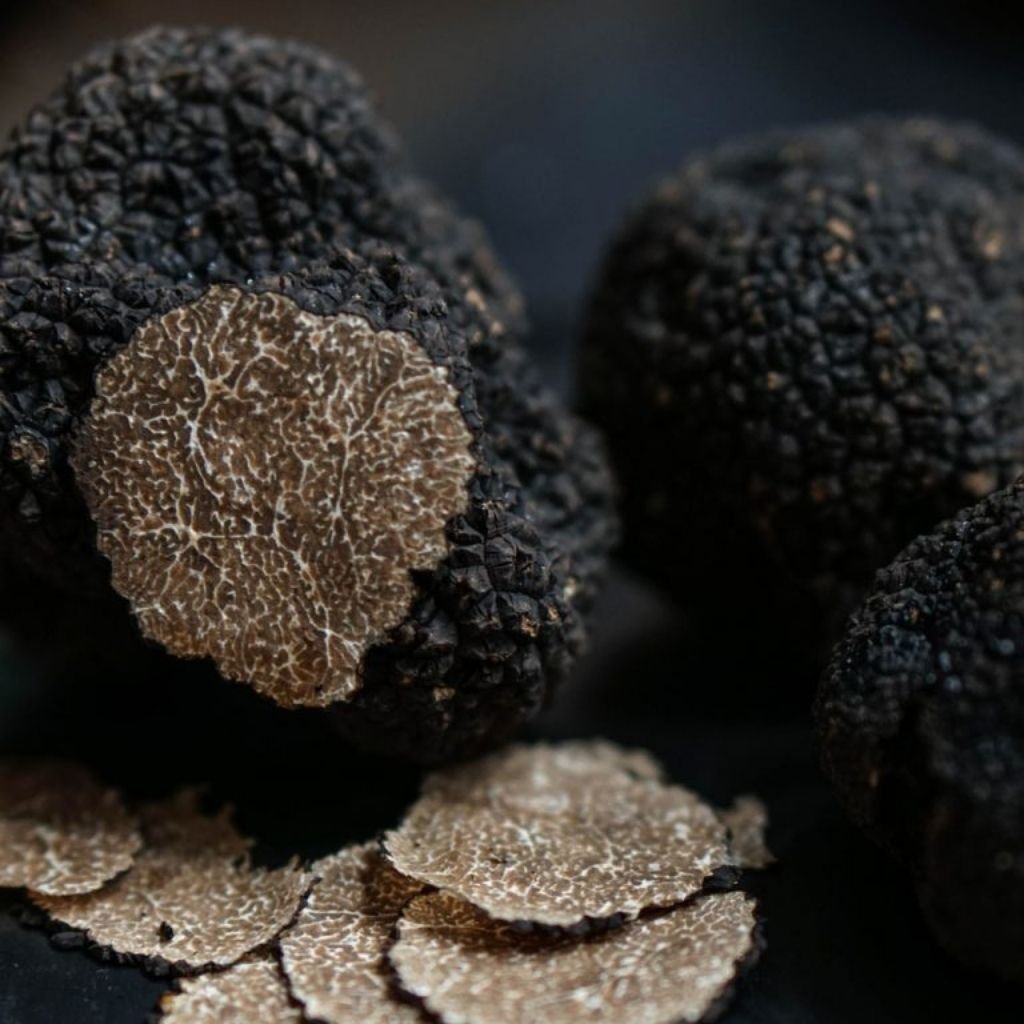 Truffes fraiches 100% de la Drôme - Fromagerie du Château